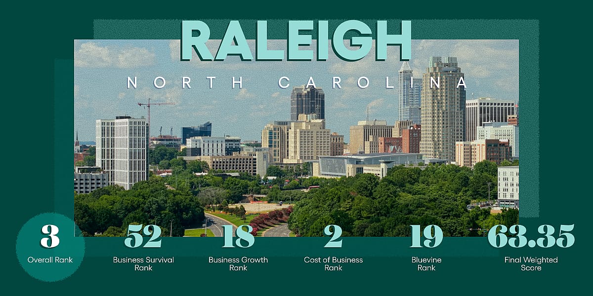 An infographic revealing data ranking and overview for Raleigh, North Carolina.