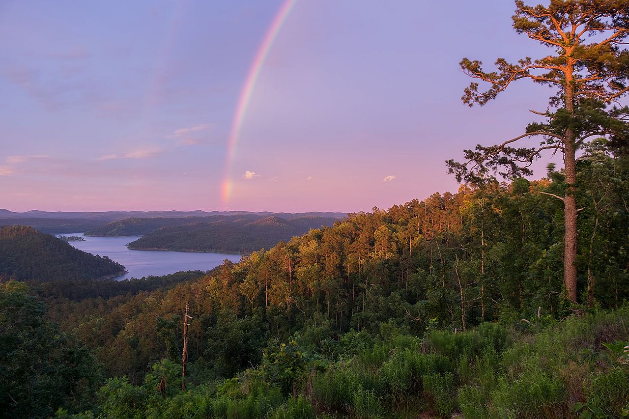 A rainbow arches over a towering pine in Broken Bow.