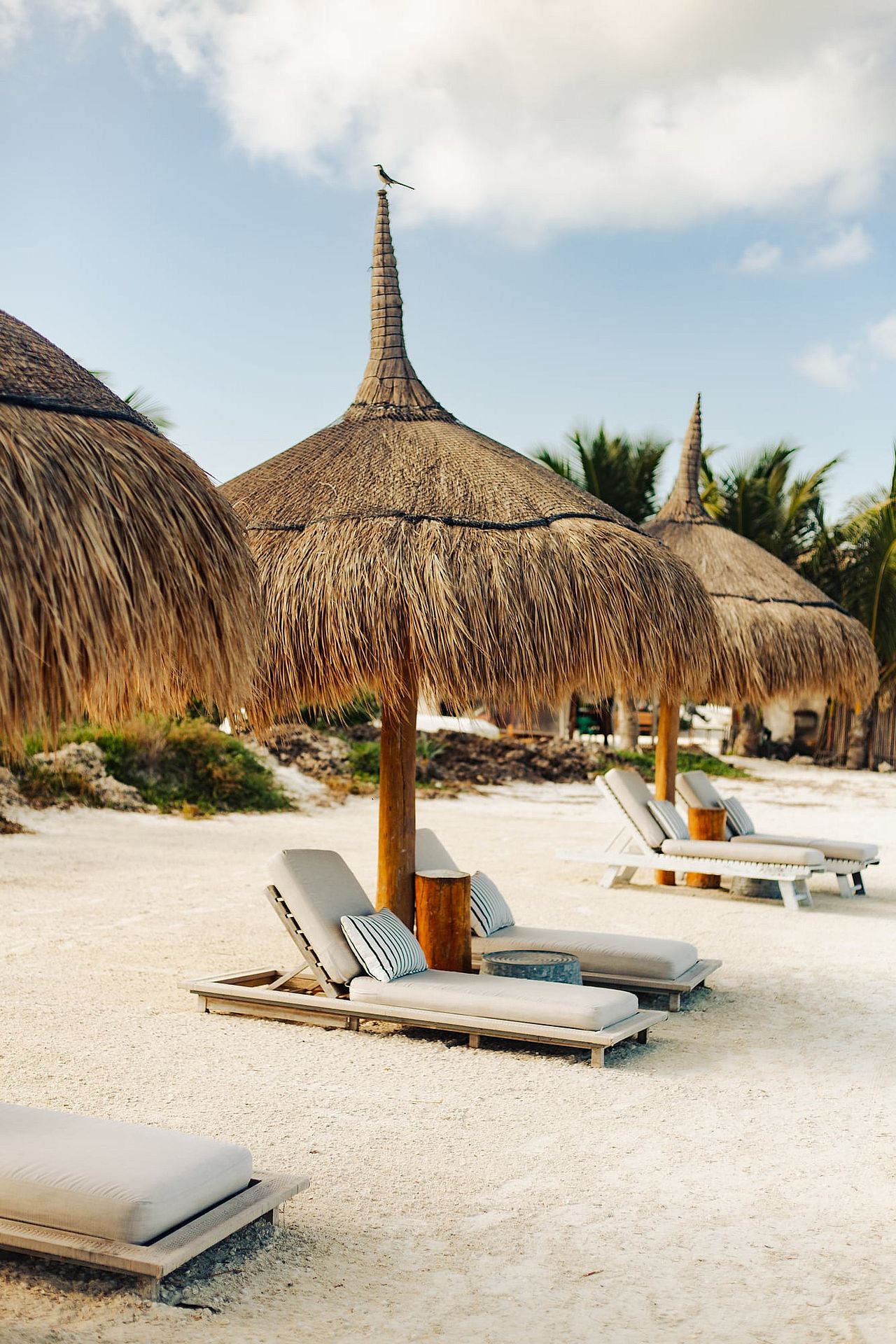 A lane of thatched-roof parasols and wooden sun loungers along the beach of Isla Holbox in Mexico.