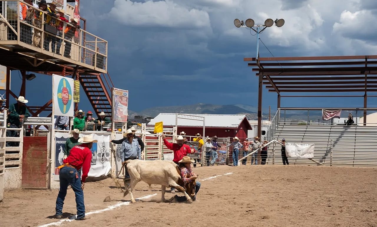 Kenzie Garcia chute dogs on the first day of the Zia Regional Rodeo. In most traditional rodeos, chute dogging and other rough stock events only allow male competitors.