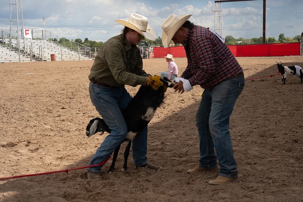 Harry Children (left) and his teammate wrestle a pair of underwear onto a goat as part of the goat dressing contest, one of the classic gay rodeo camp events.