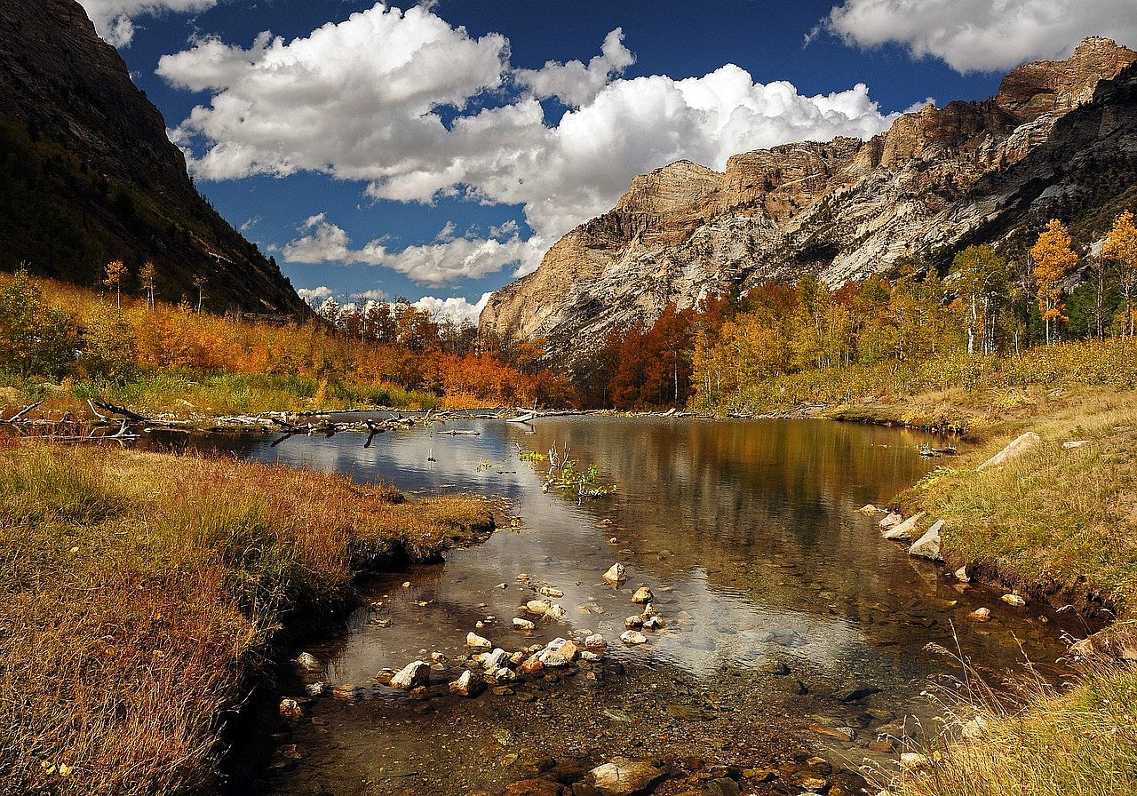 #11. Nevada