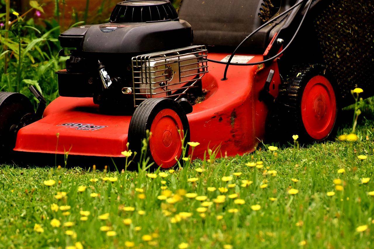 Edwin Beard Budding: lawnmowers