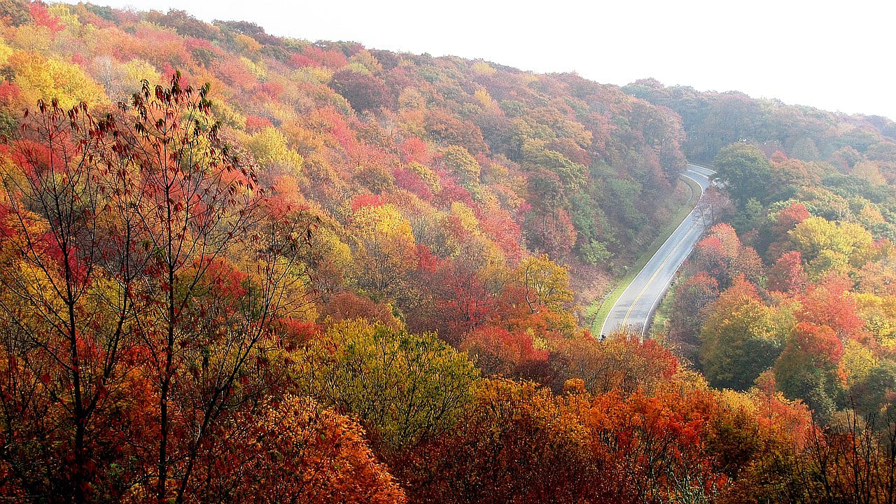 #19. North Carolina