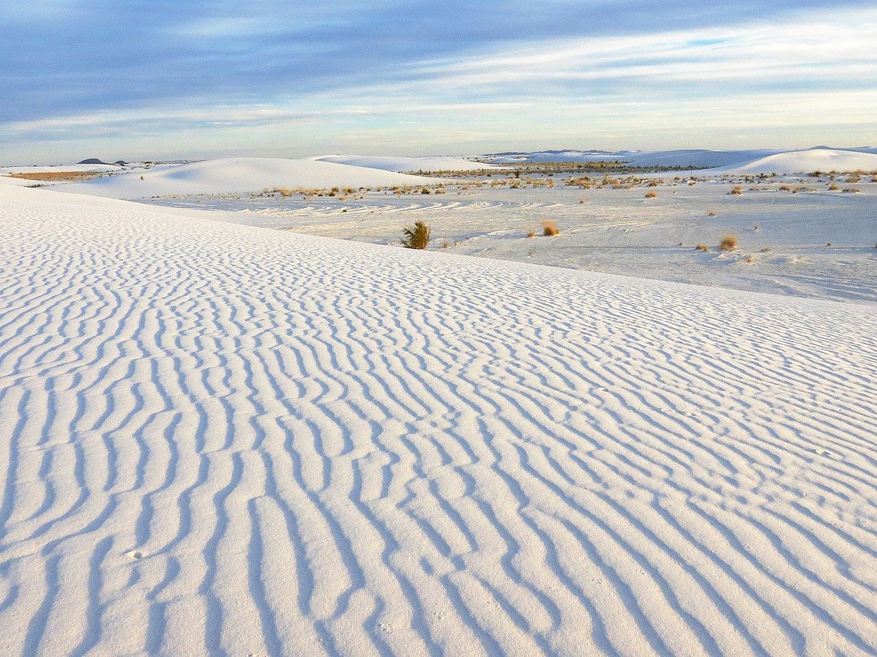 #23. New Mexico