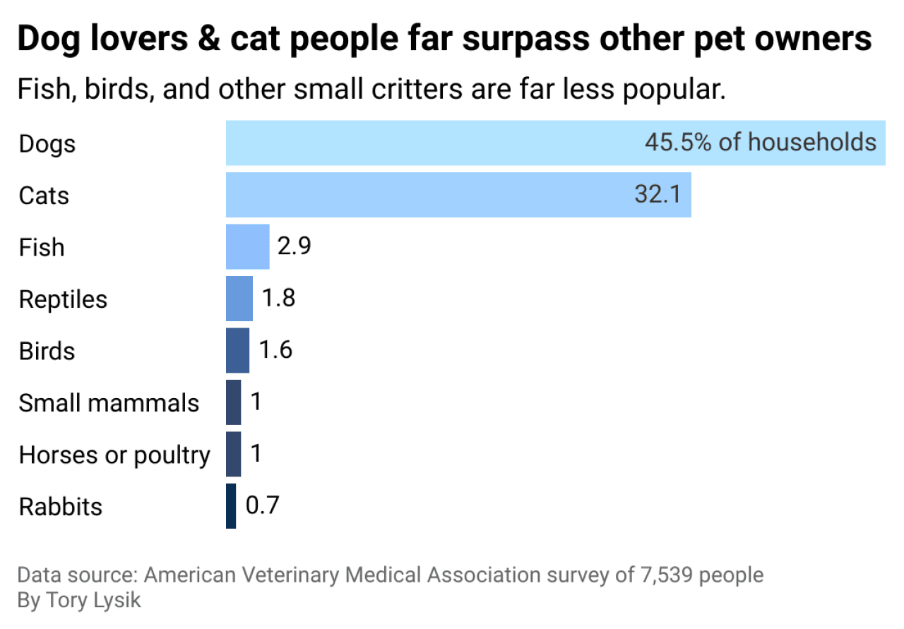A bar chart showing that dogs are far more popular than other pets.