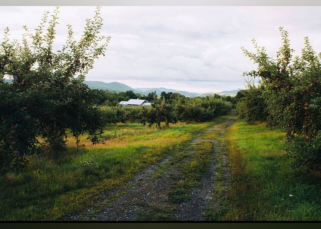 #1. Furnace Brook Winery at Hilltop Orchards