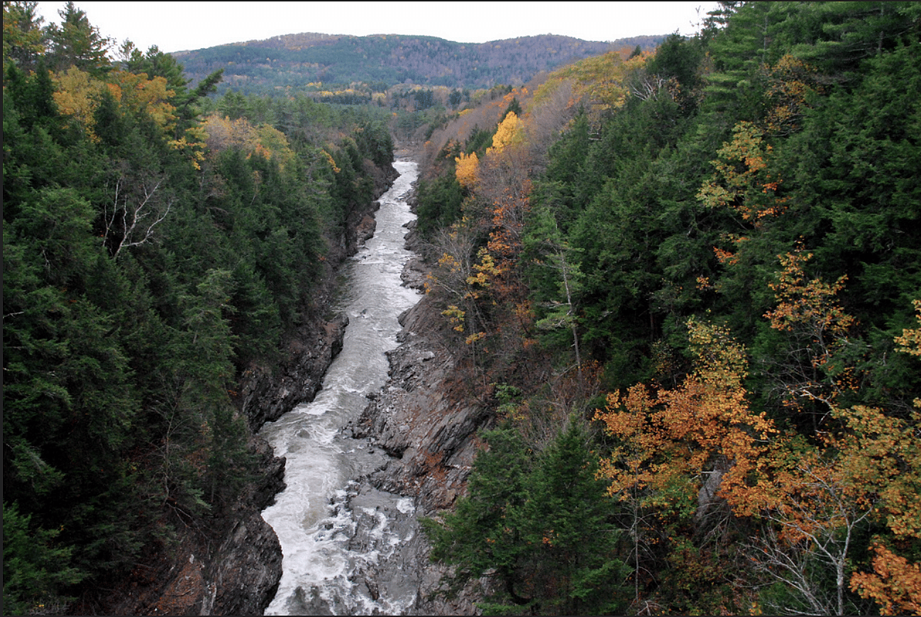 Vermont: Vermont Institute of Natural Science