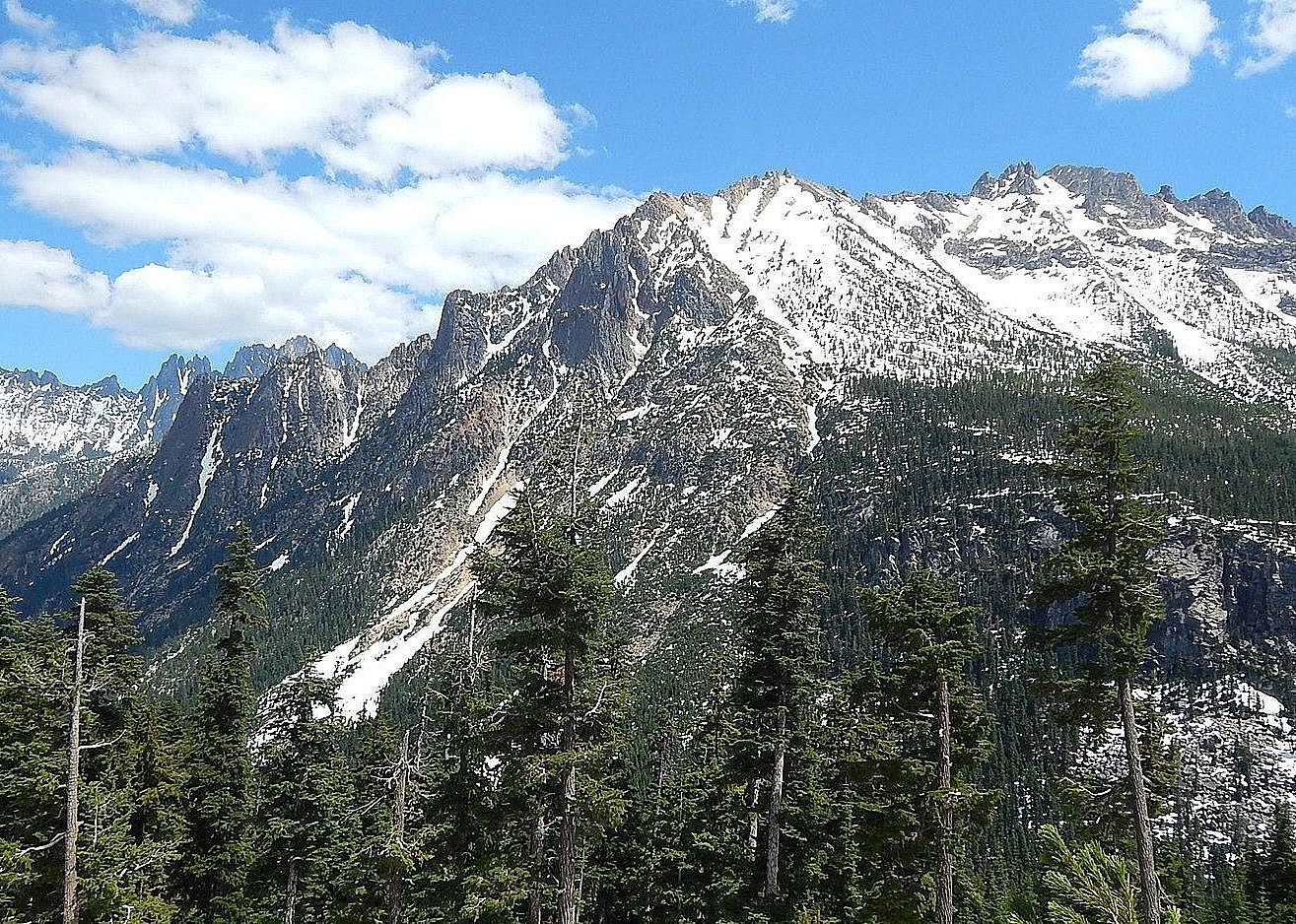 #20. Washington