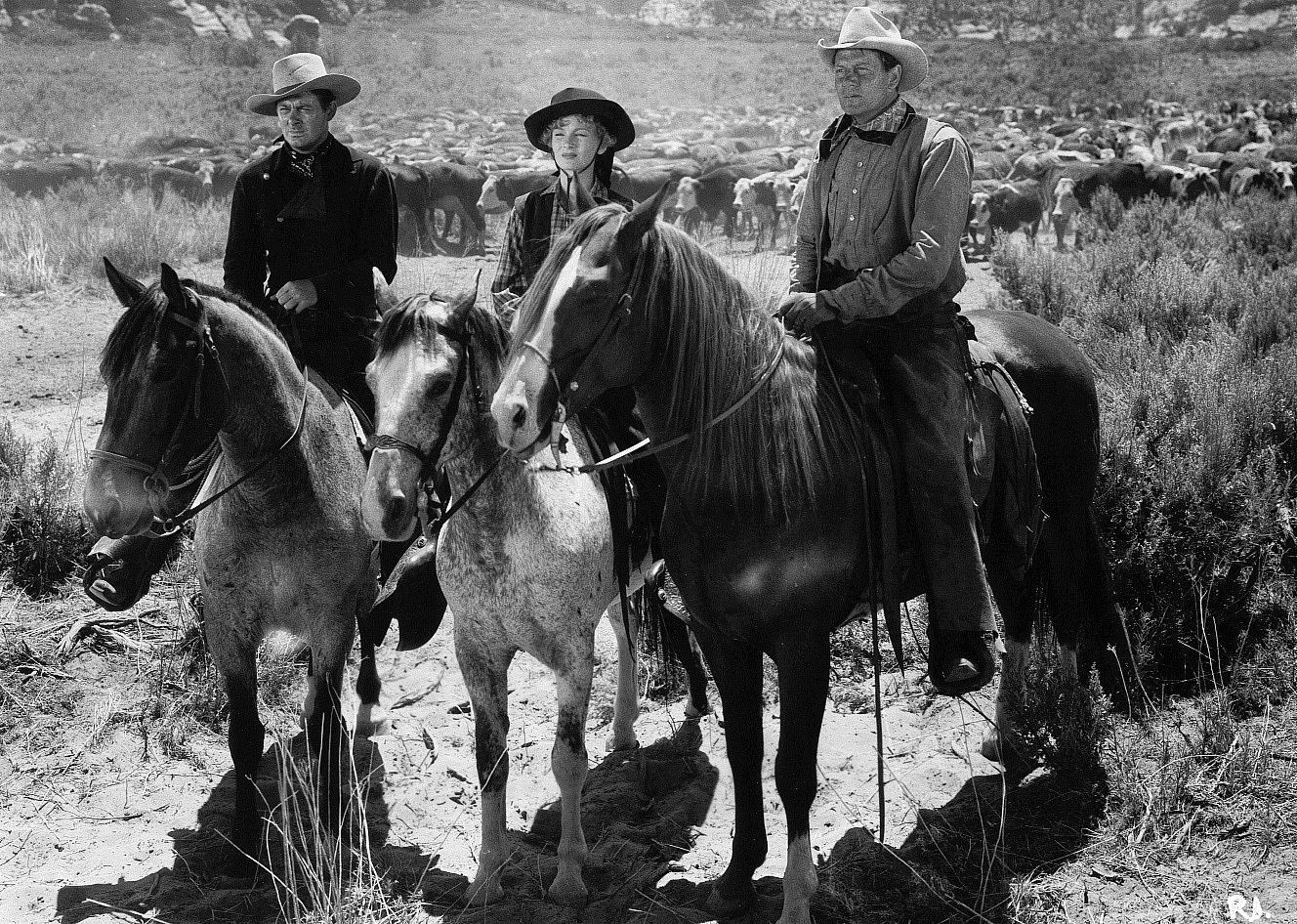 #37. Ramrod (1947)