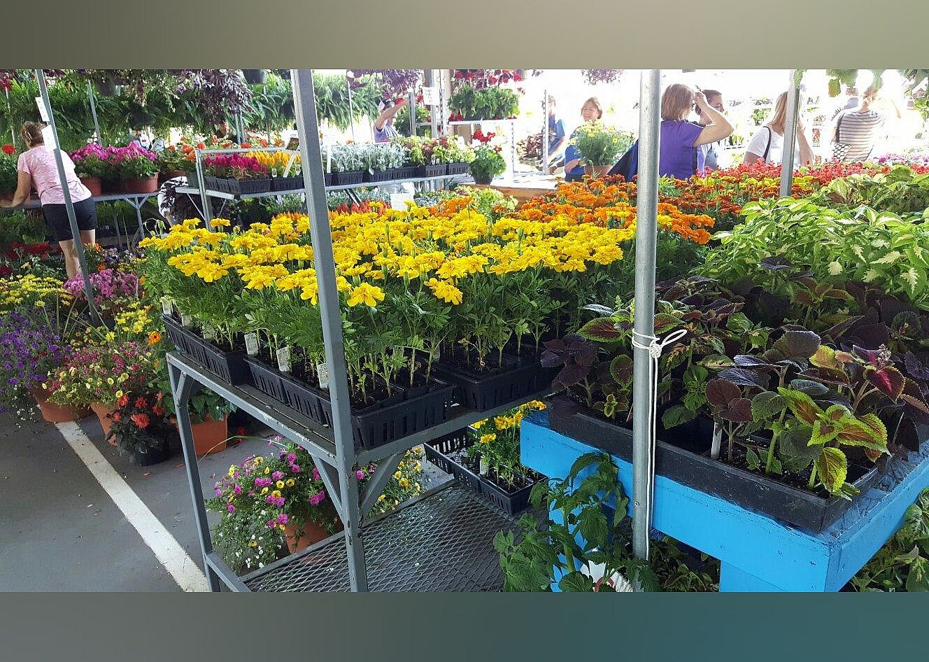 #26. State Farmers Market