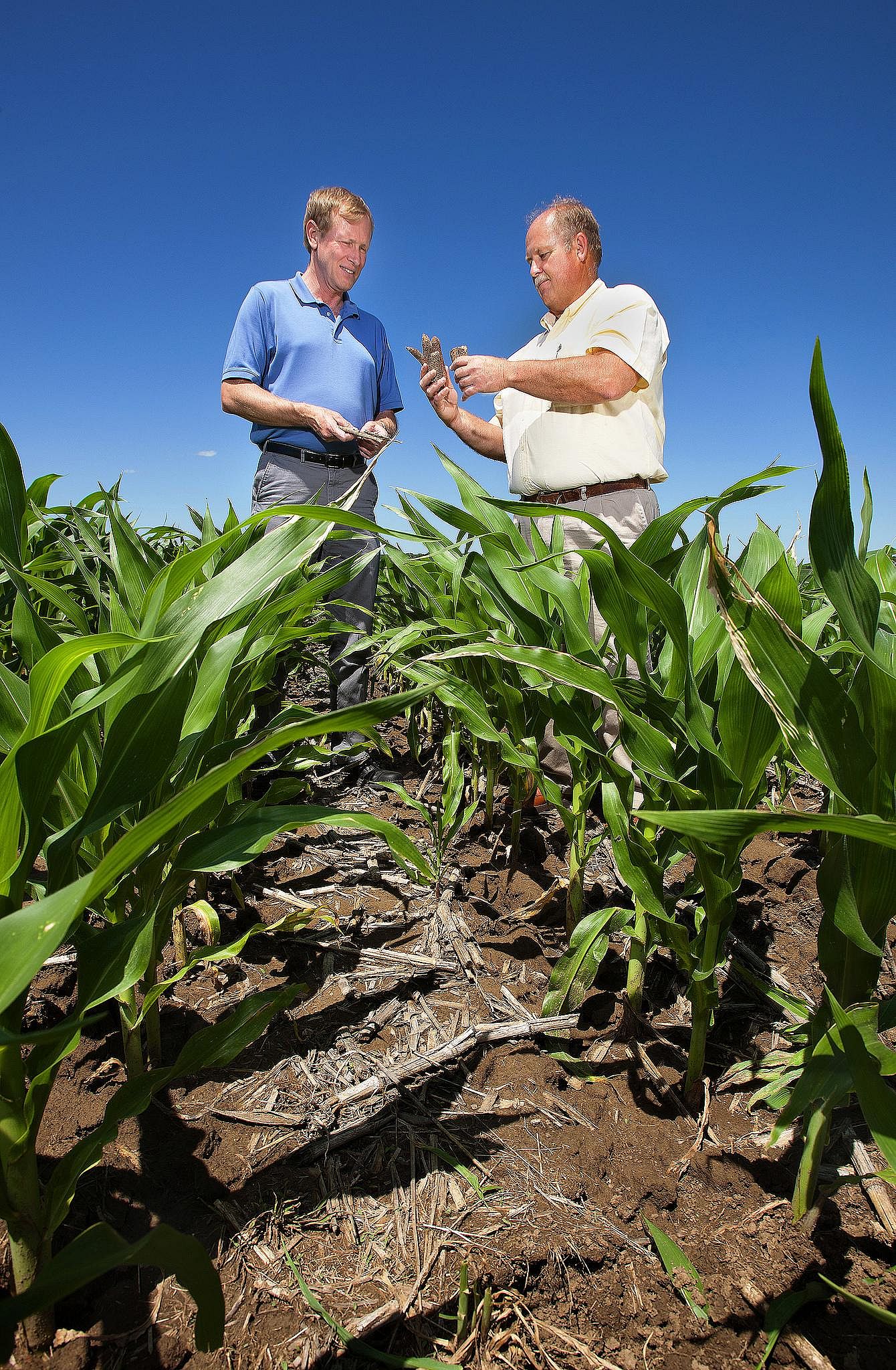 #11. Agriculture