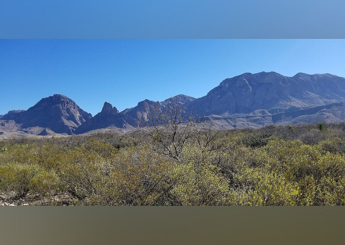 #4. Ross Maxwell Scenic Drive
