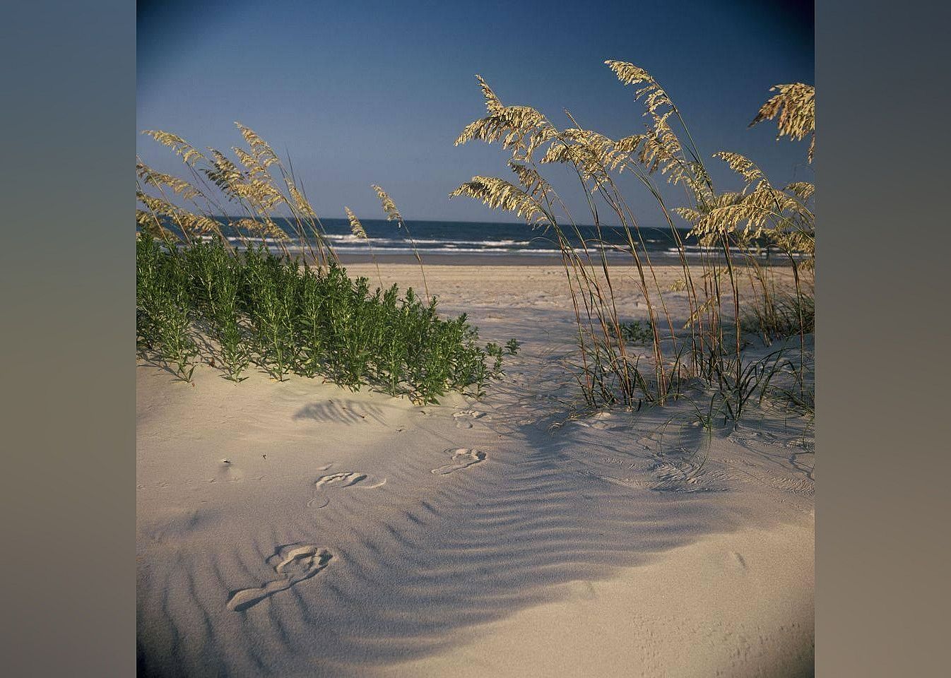 #23. Fort Macon State Park
