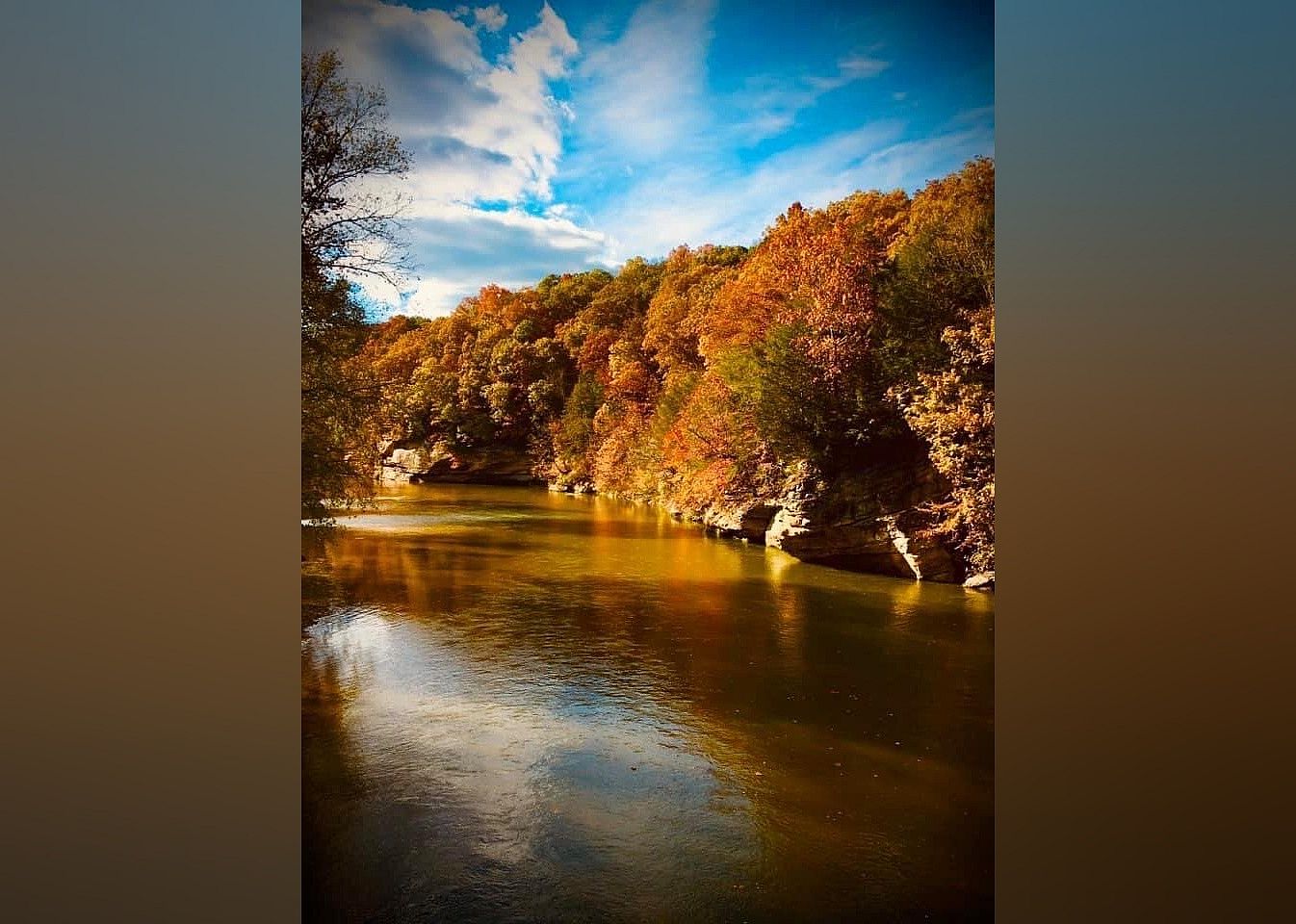 #10. Turkey Run State Park