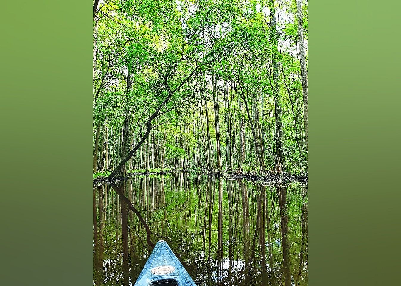 #21. Trap Pond State Park