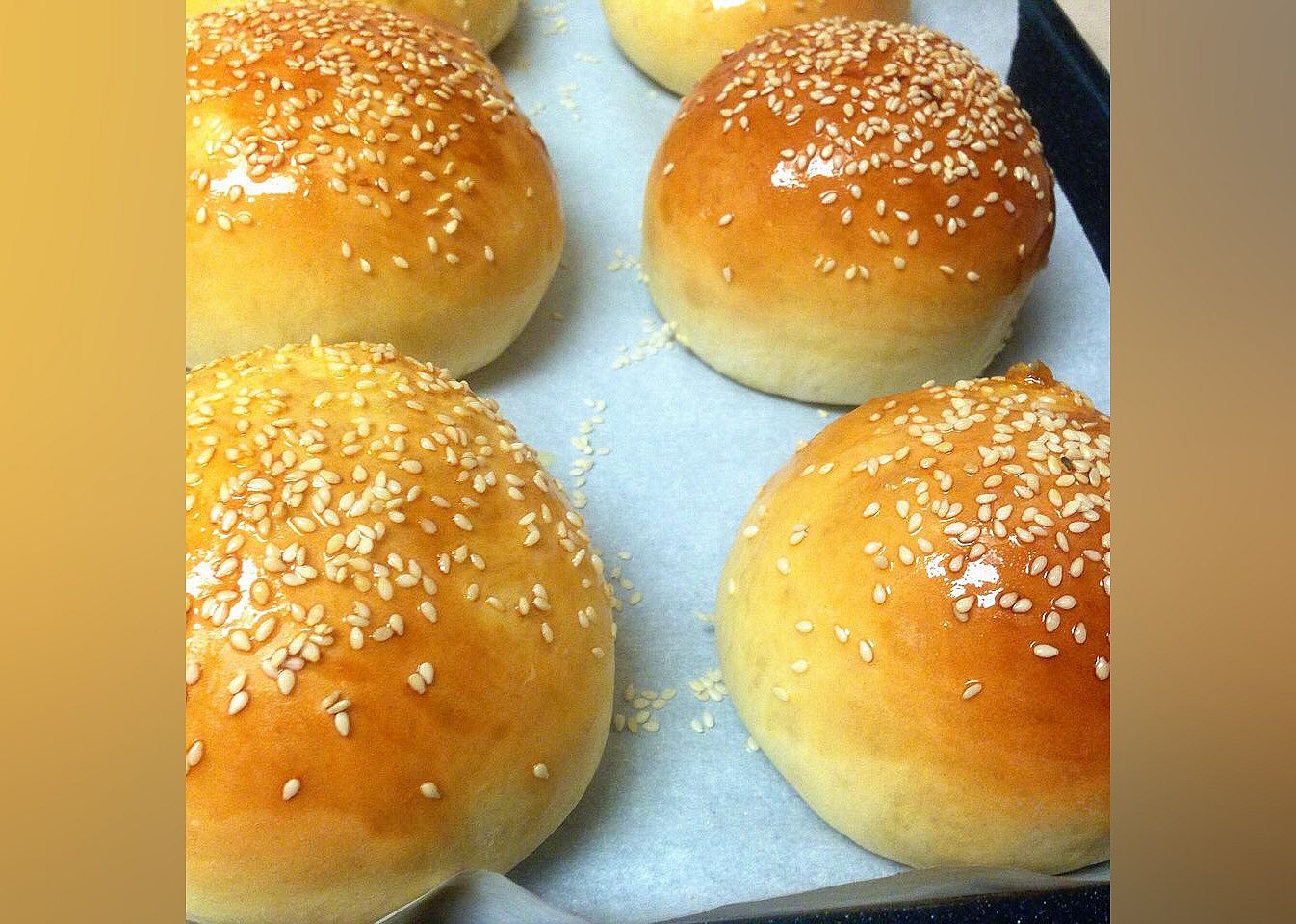 Burger or Hot Dog Buns