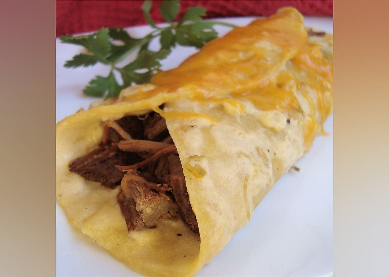Shredded Beef Enchiladas