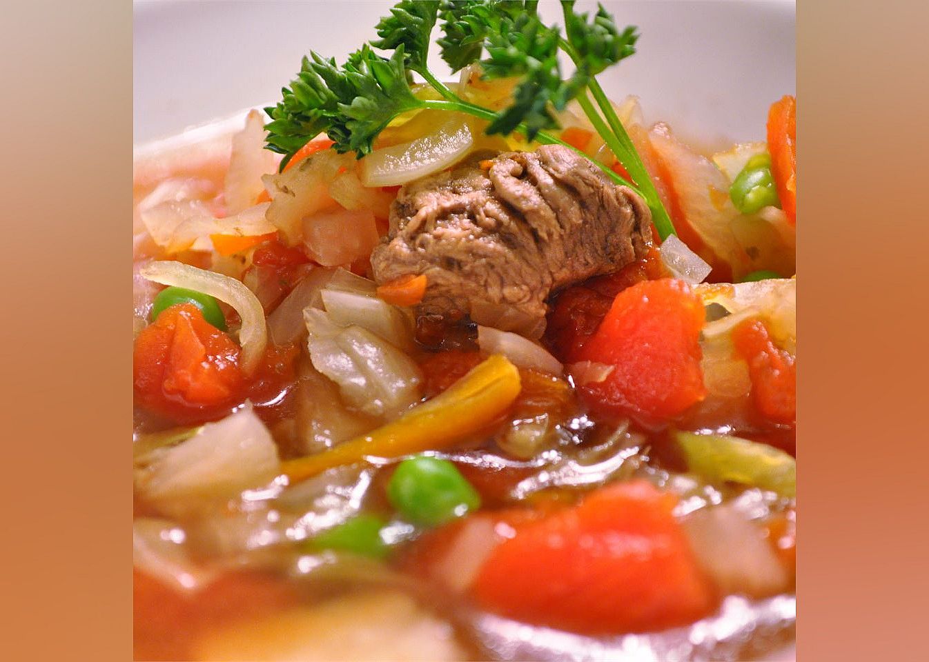 Venison Vegetable Soup