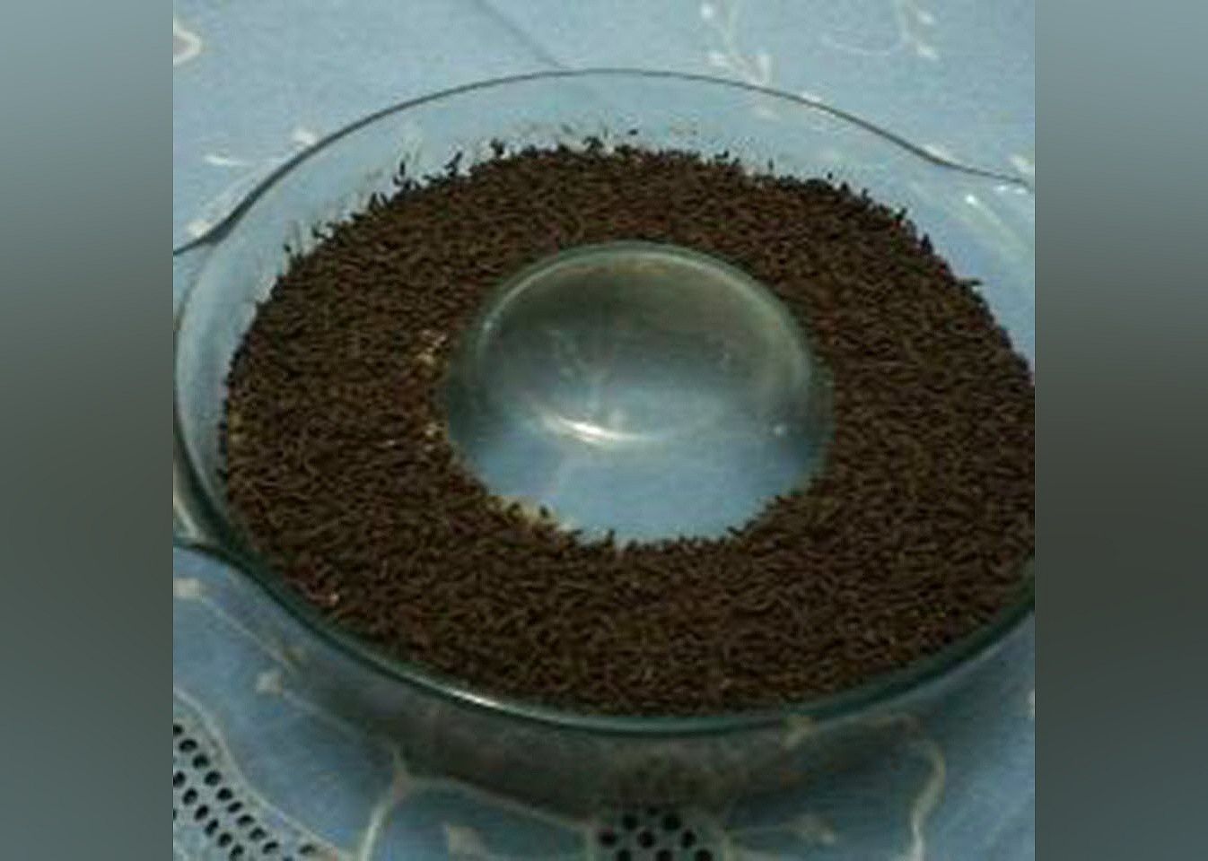 Brigadeiro Dessert