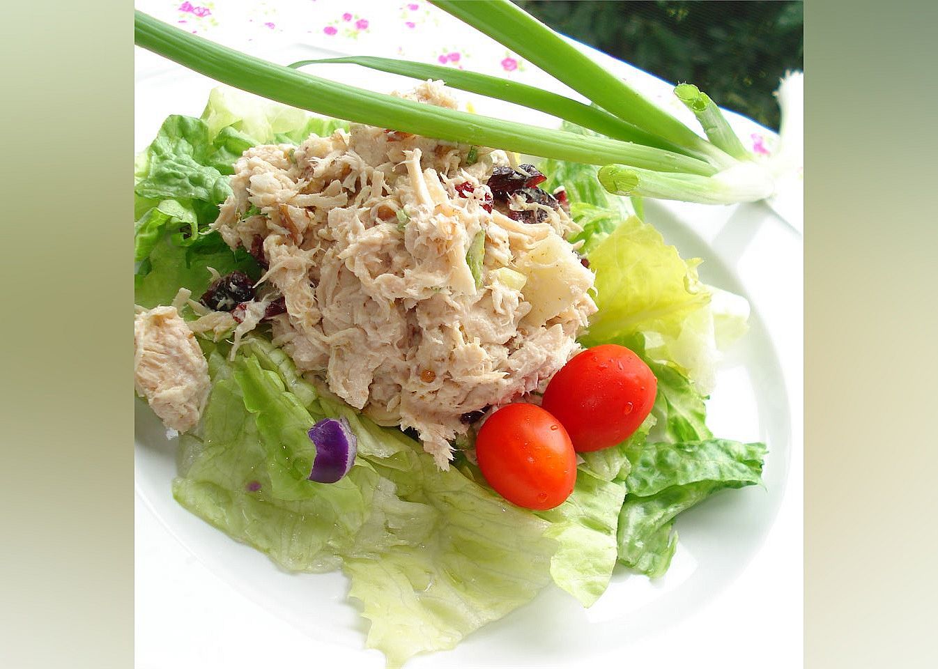 Rachel's Cranberry Chicken Salad