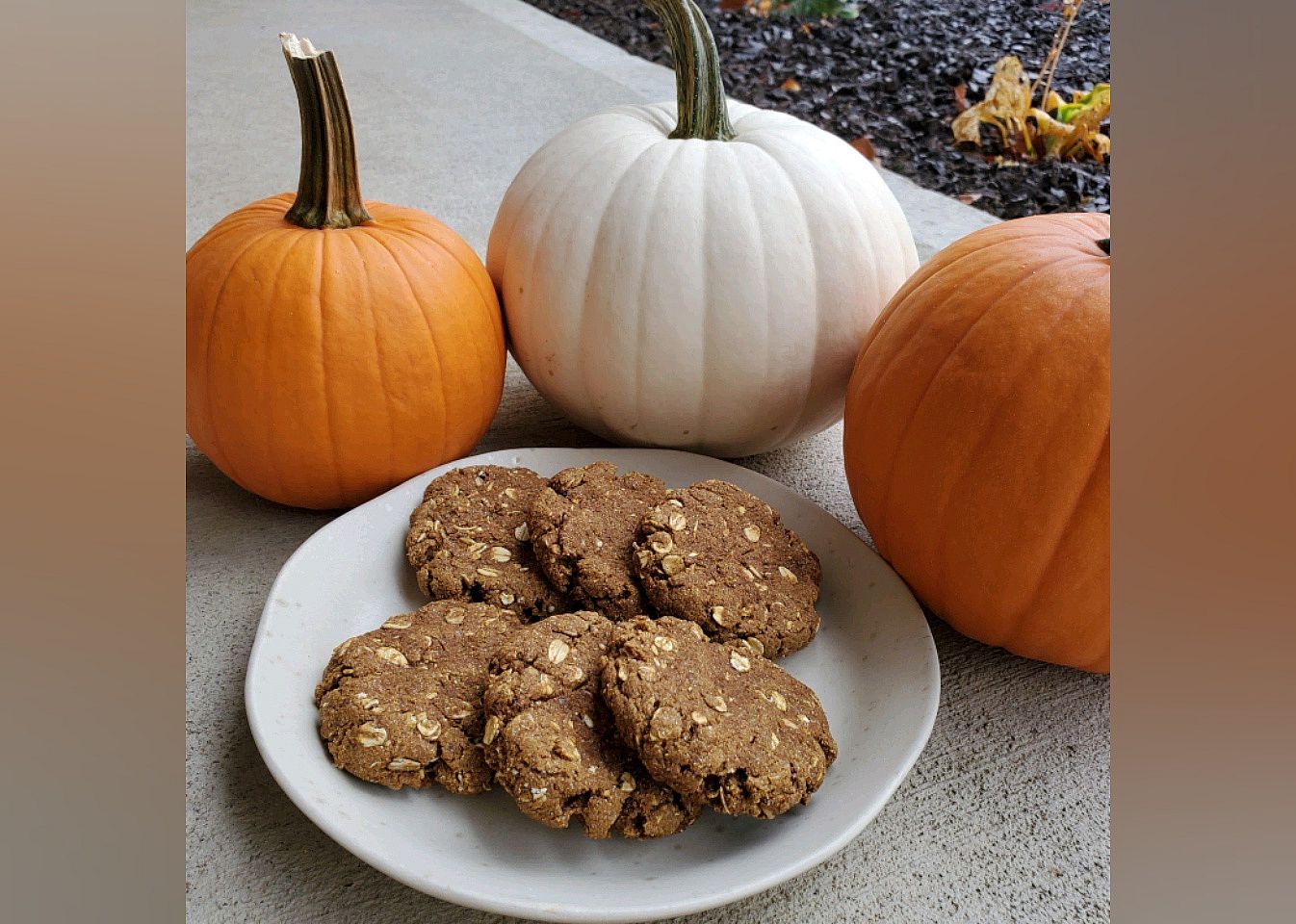 Pumpkin Protein Cookies