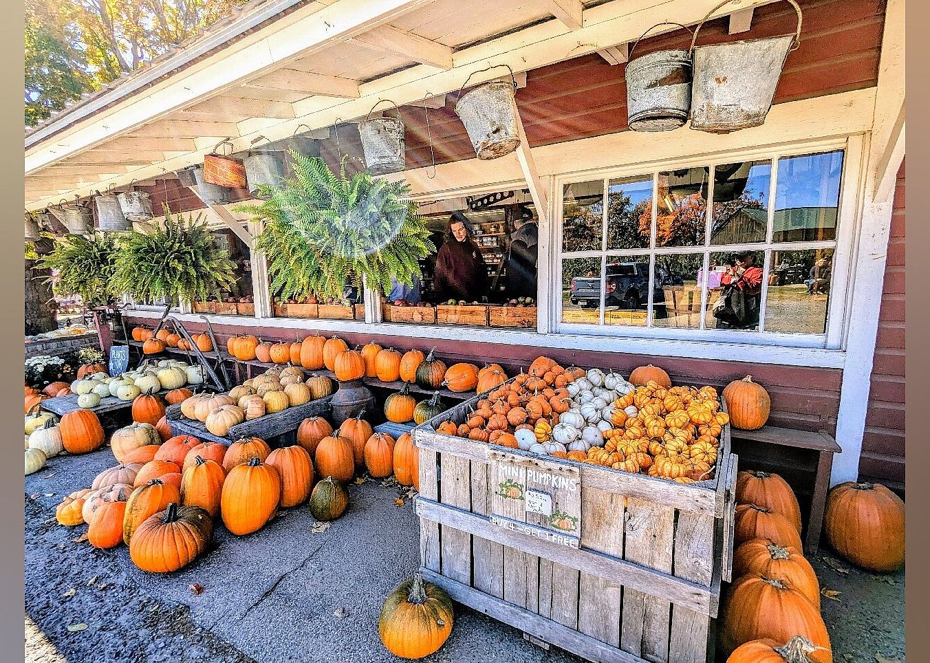 #6. Red Apple Farm