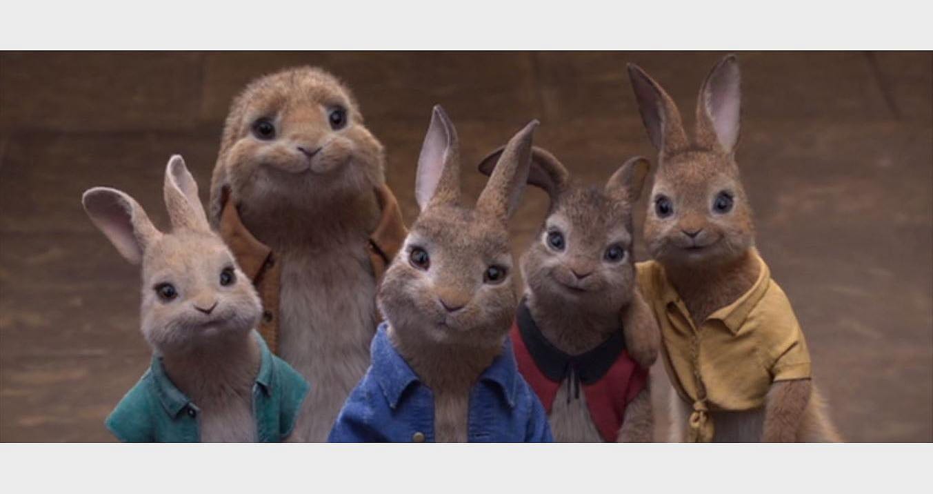 #84. Peter Rabbit