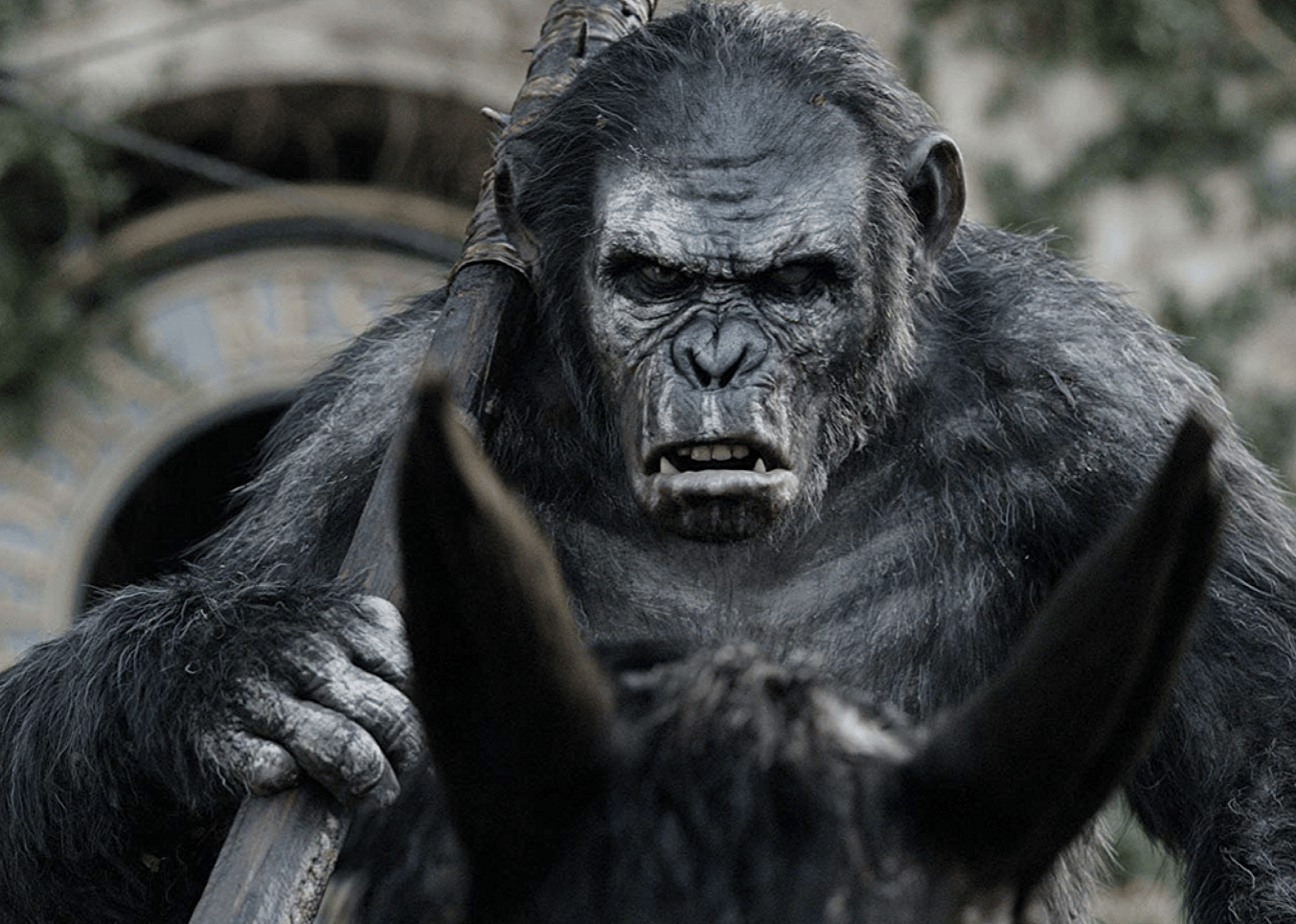 #34. Dawn of the Planet of the Apes (2014)