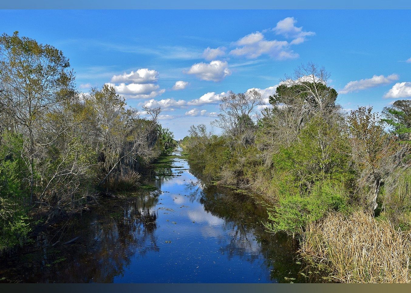 #15. Jean Lafitte National Historical Park and Preserve