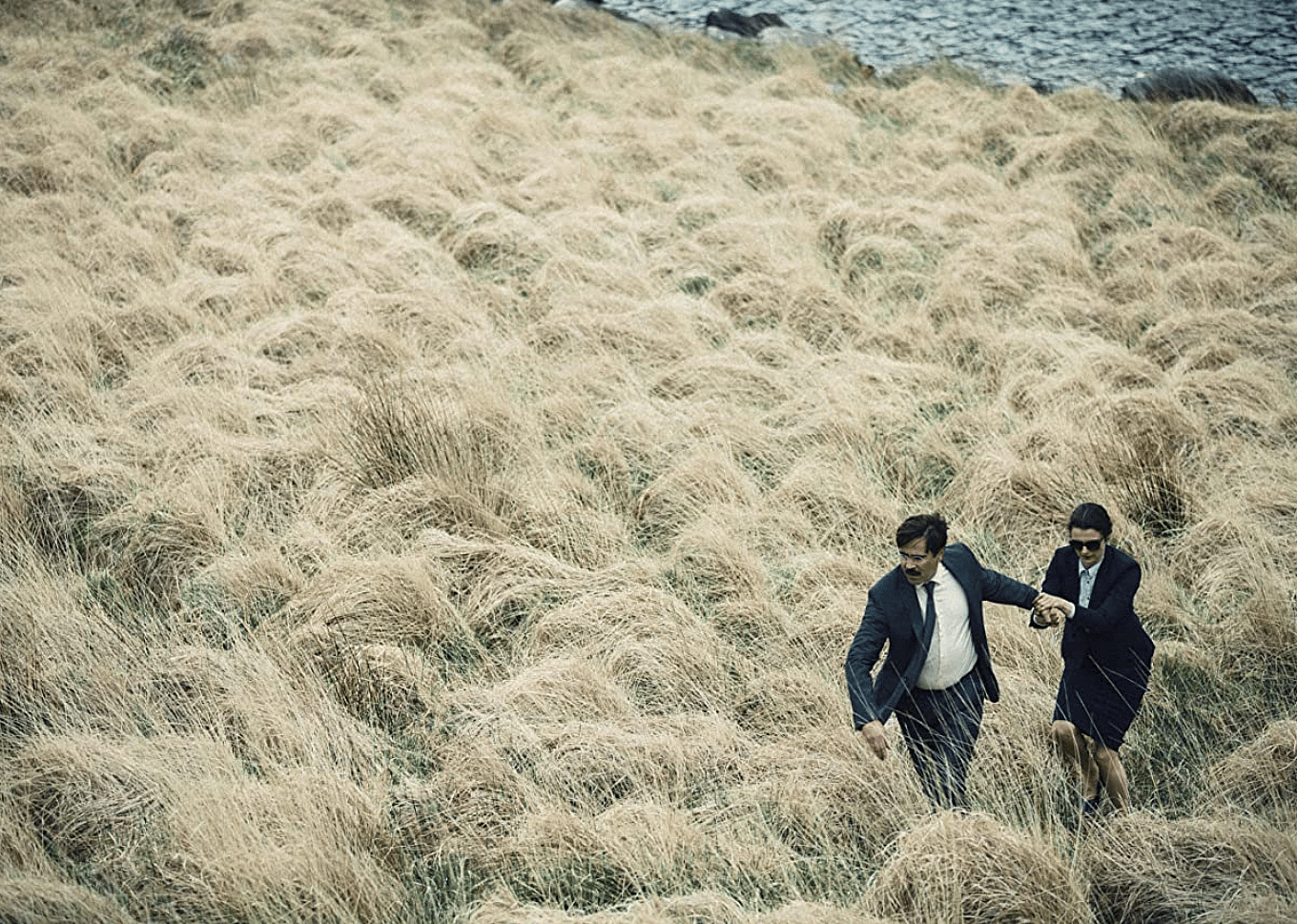 #67. The Lobster (2015)