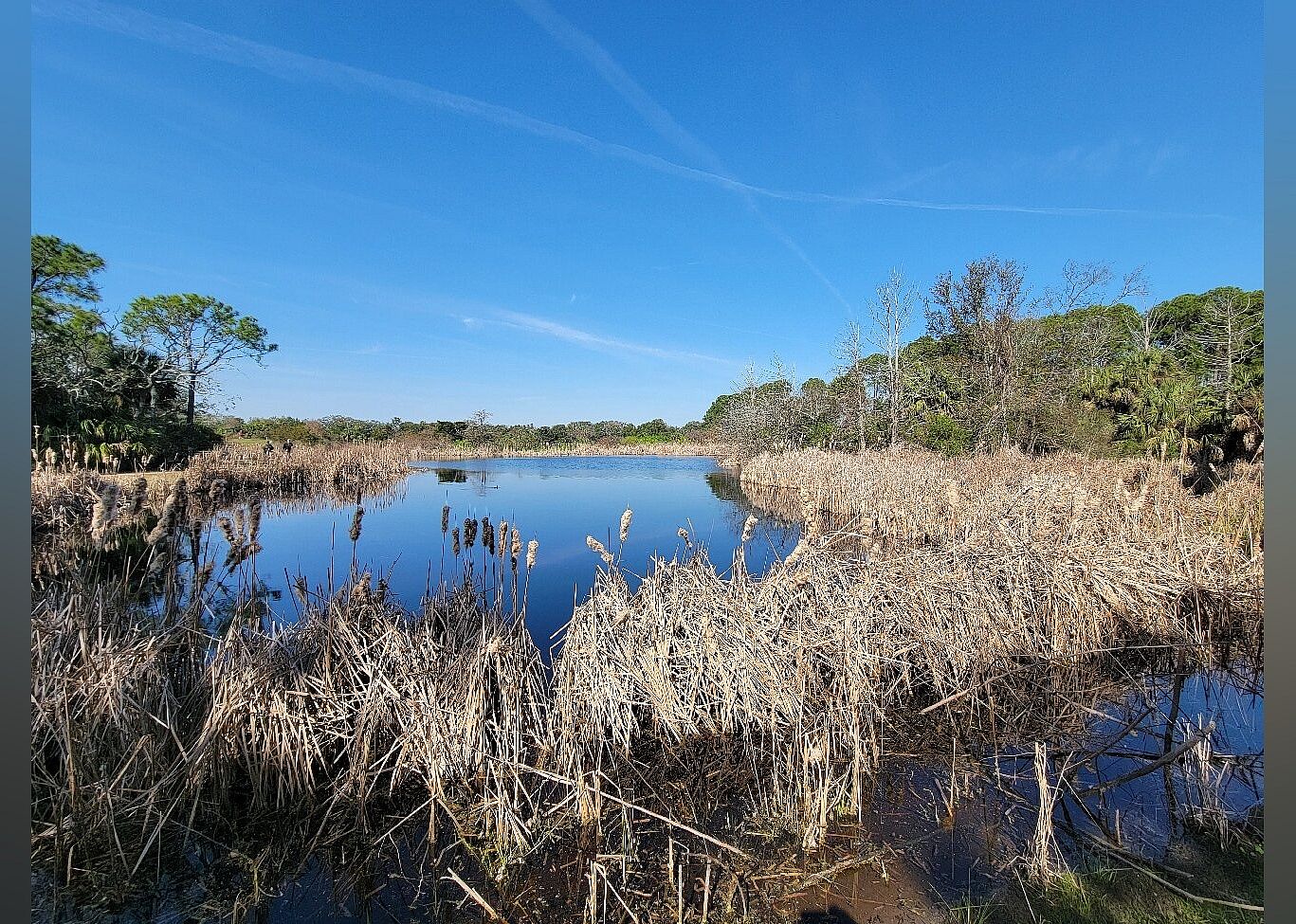 #24. Pinckney Island National Wildlife Refuge