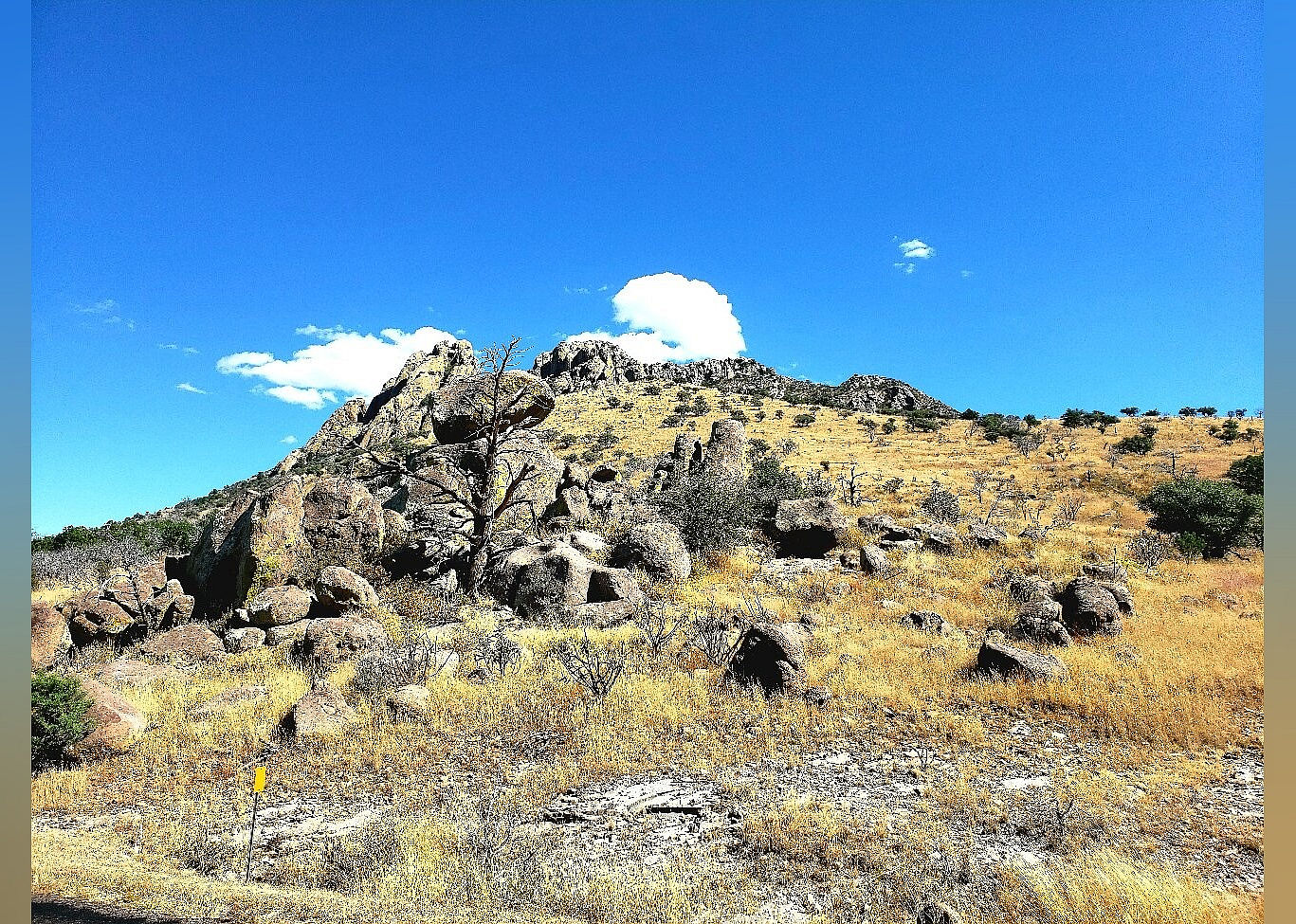 #6. Davis Mountain Scenic Loop