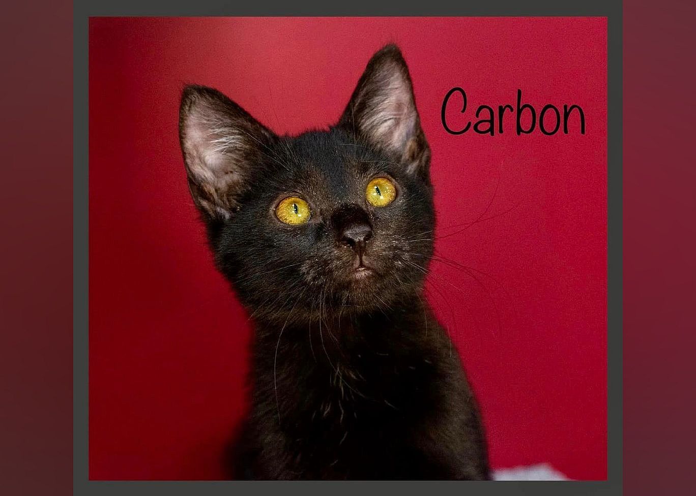 Carbon