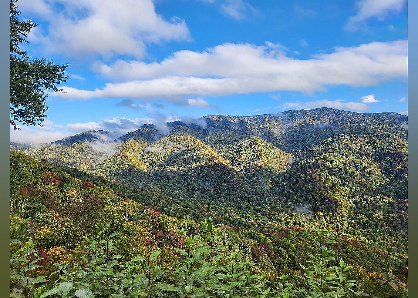 #3. Newfound Gap Road