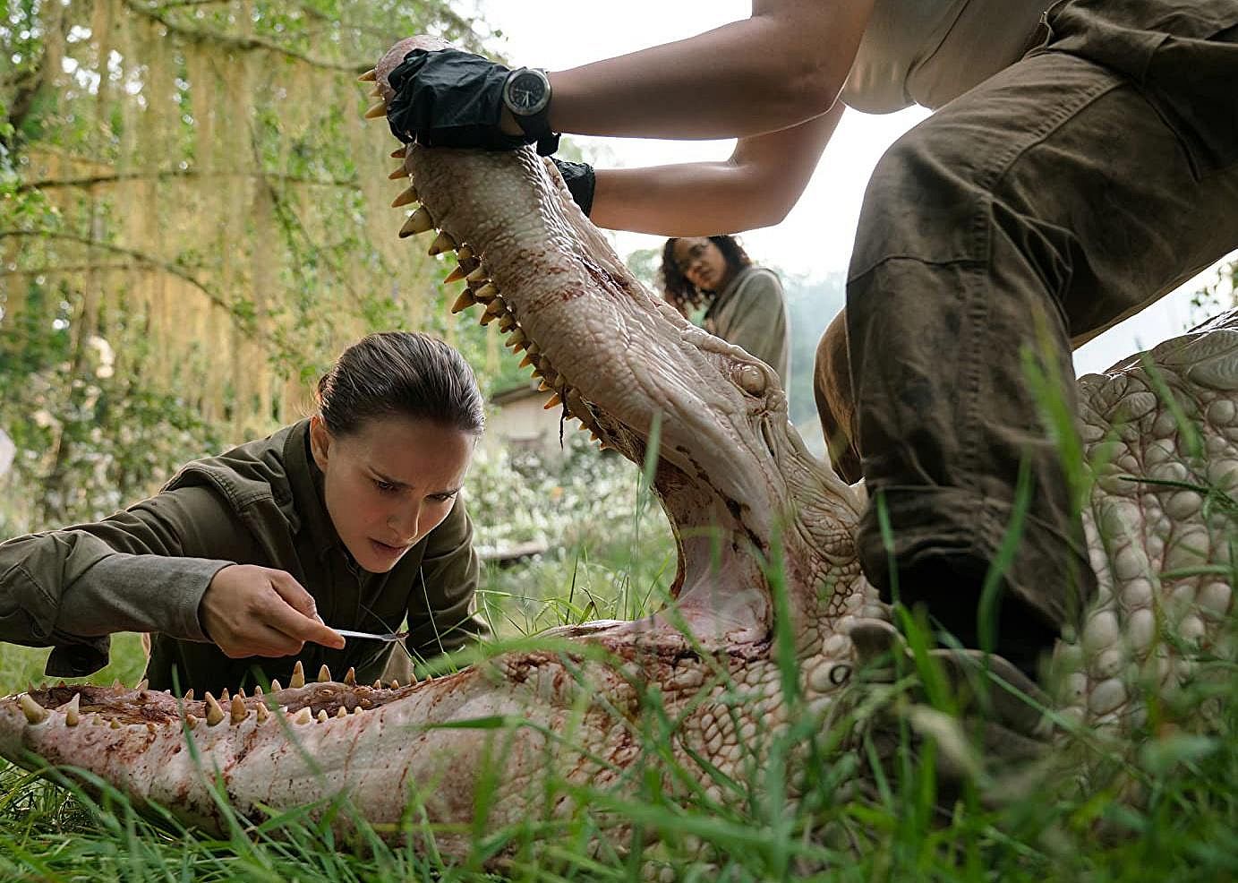 #96. Annihilation (2018)