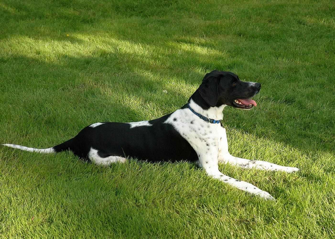 #20. Pointer