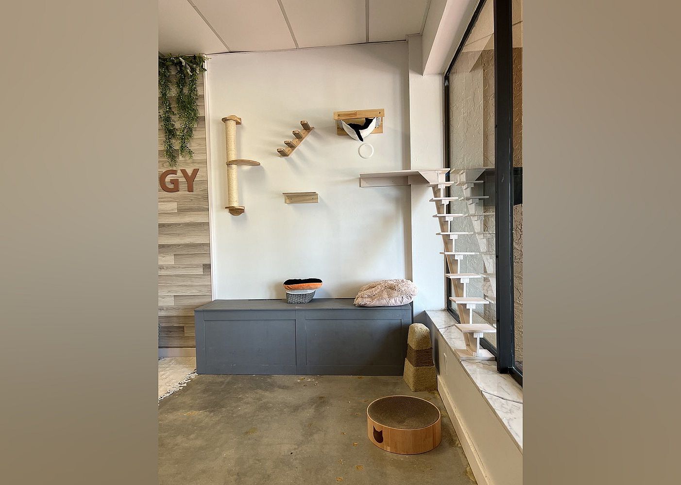 #16. Purrology Cafe