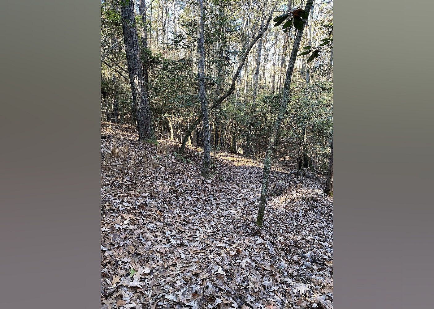 #3. Falls Lake State Recreation Area