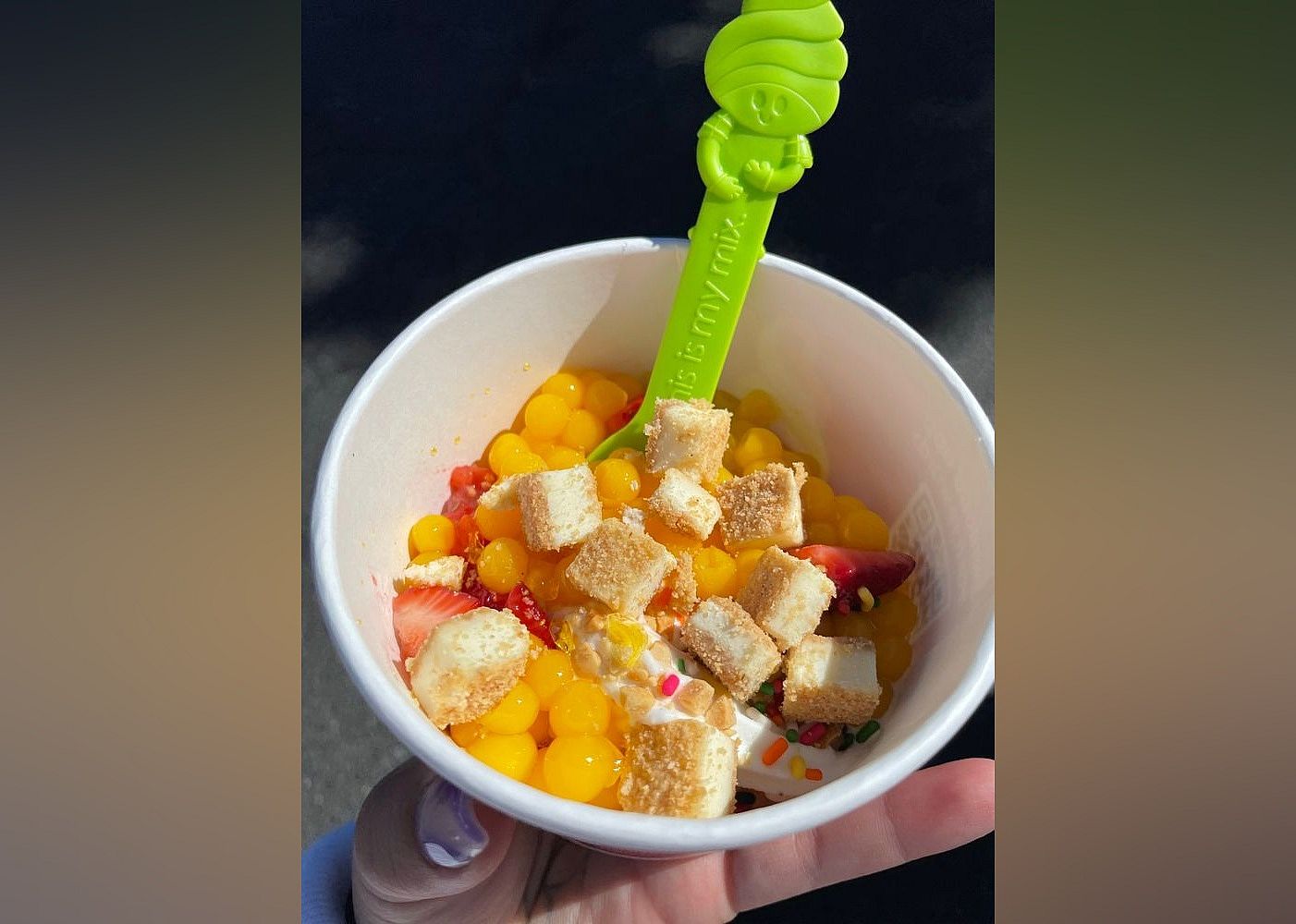 #6. Menchie's