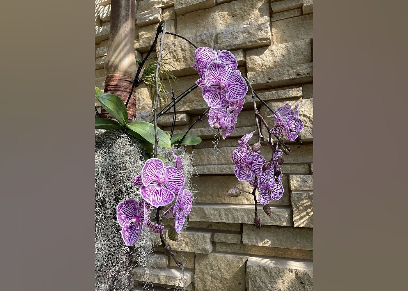 Botanical Gardens: Lauritzen Gardens