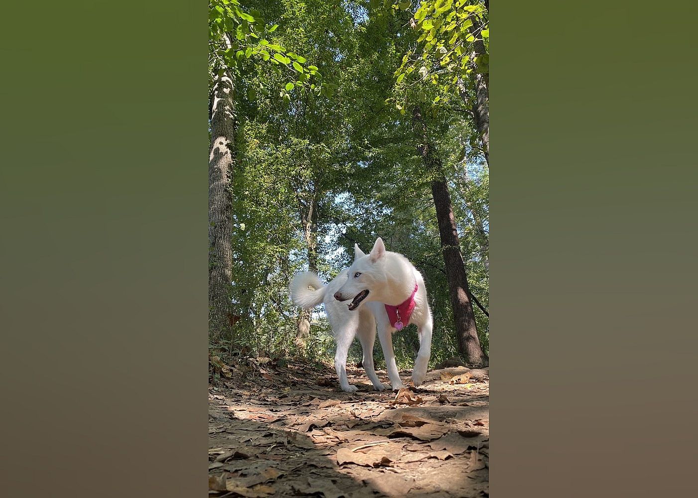 Fishing: Chattahoochee River National Recreation Area West Palisades