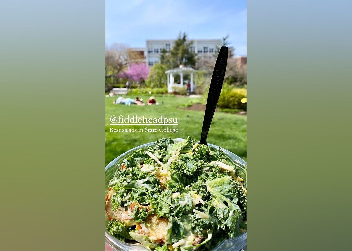 #15. Fiddlehead