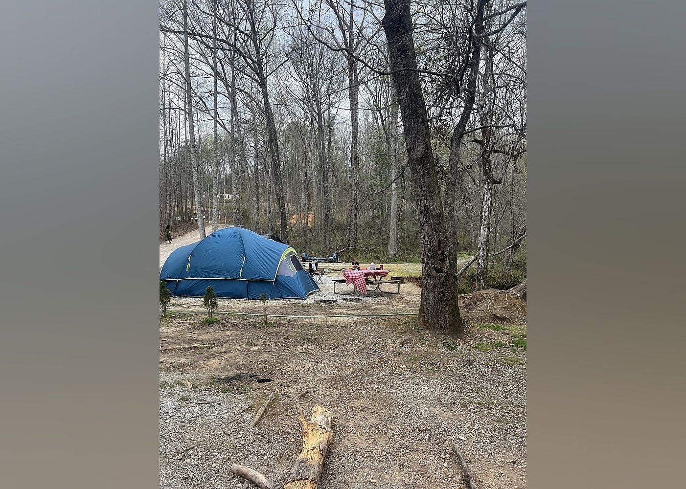 #10. Jenny's Creek Family Campground