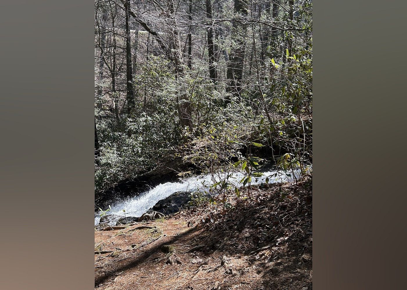 #5. Vogel State Park