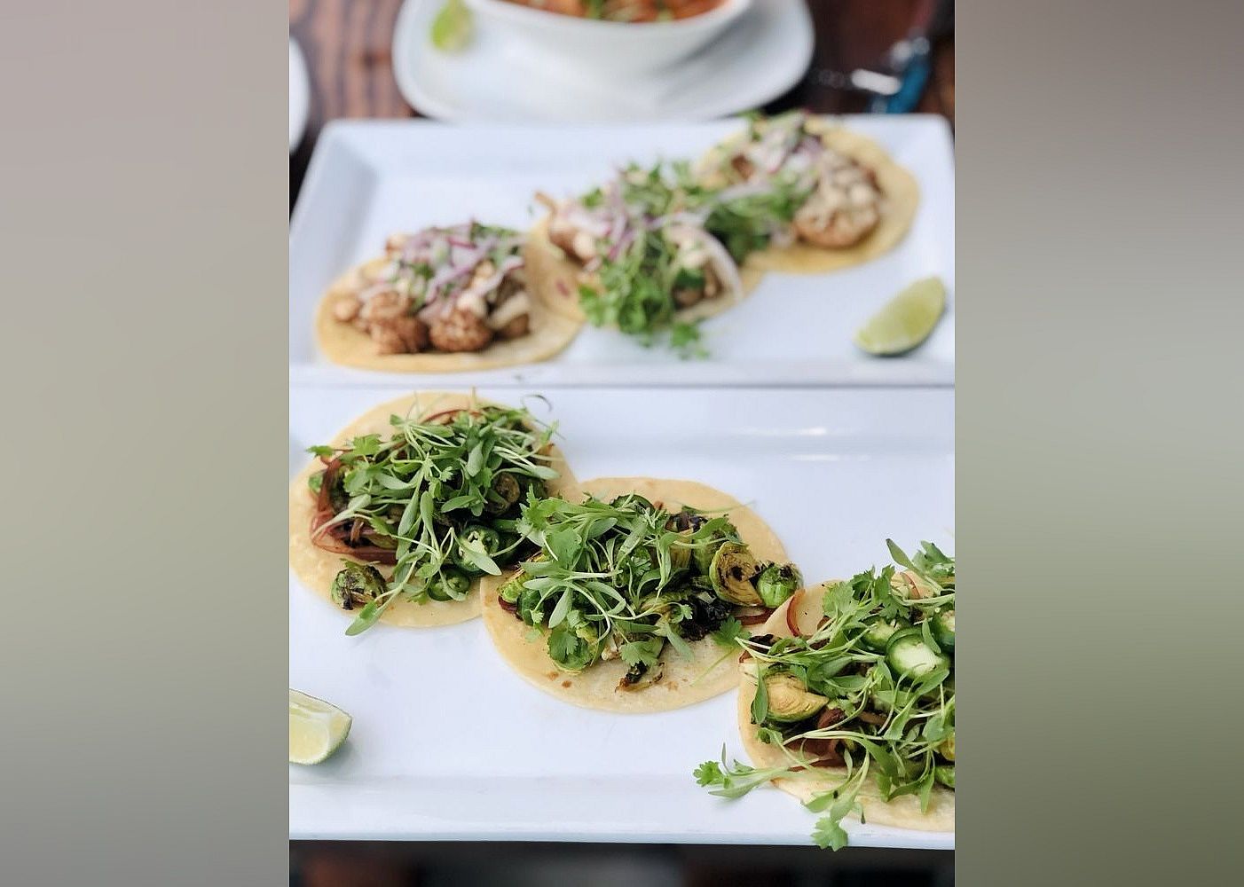 #19. Nemi Restaurant