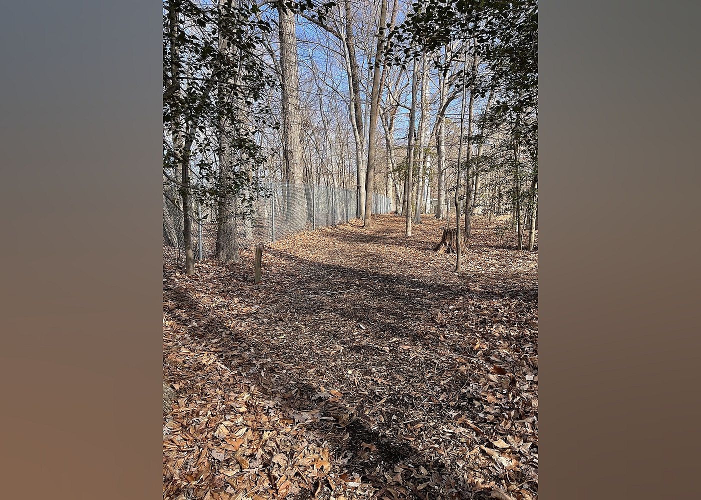 #1. Cherry Hill Park