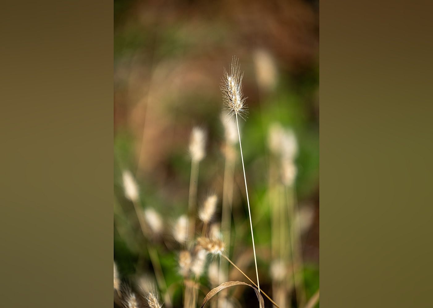 #3. Mount Madonna County Park