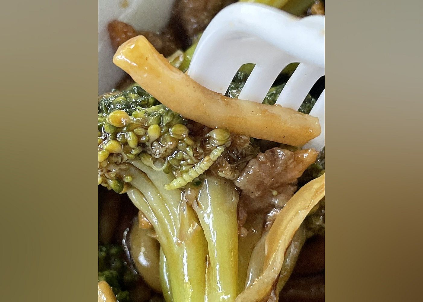 #14. Hop Hing's Kitchen