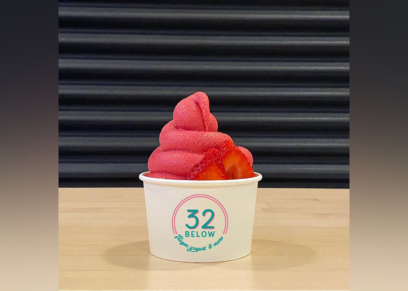 #21. 32 Below Frozen Yogurt & More